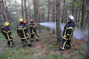 Un entraînement d&#039;envergure des pompiers à Saint-Maurice-de-Lignon pour combattre les feux de forêt