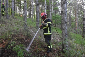 Un entraînement d&#039;envergure des pompiers à Saint-Maurice-de-Lignon pour combattre les feux de forêt