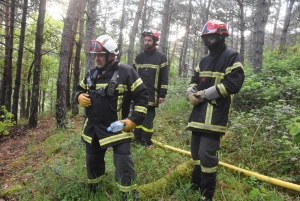 Un entraînement d&#039;envergure des pompiers à Saint-Maurice-de-Lignon pour combattre les feux de forêt