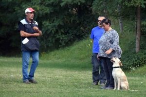 Monistrol-sur-Loire : 31 chiens au concours d&#039;obéissance