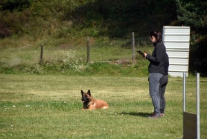 Monistrol-sur-Loire : 31 chiens au concours d&#039;obéissance