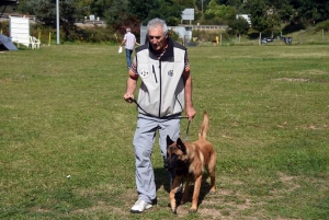 Monistrol-sur-Loire : 31 chiens au concours d&#039;obéissance