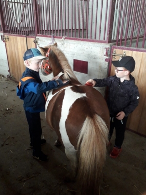 Yssingeaux : des journées sportives pour les élèves de CE et de CM de l&#039;école Saint-Gabriel