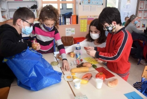 Yssingeaux : les écoliers distinguent les bons et les mauvais sucres