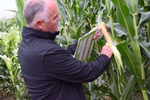 Yssingeaux : une plateforme agronomique pour adapter les cultures aux aléas climatiques