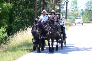 Malvalette : les mariés arrivent dans une calèche tirée par des chevaux de cinéma