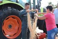 Yssingeaux : dans les coulisses du concours de chevaux lourds