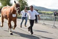 Yssingeaux : dans les coulisses du concours de chevaux lourds