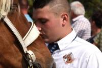 Yssingeaux : dans les coulisses du concours de chevaux lourds