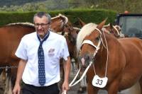 Yssingeaux : dans les coulisses du concours de chevaux lourds