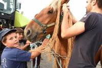 Yssingeaux : dans les coulisses du concours de chevaux lourds