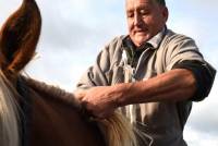 Yssingeaux : dans les coulisses du concours de chevaux lourds