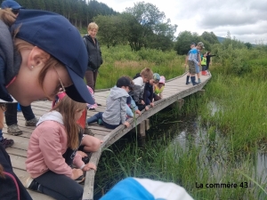 L’inventaire participatif de la biodiversité se poursuit à Fay-sur-Lignon