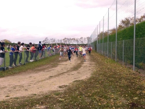 Yssingeaux : 550 collégiens au pas de course au complexe sportif