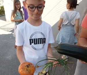 Le potager a livré sa récolte de rentrée Crédit école privée de Dunières