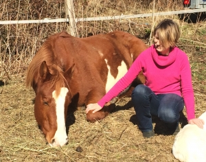 Raucoules :  Eq&#039;ici et maintenant, le cheval pour aller mieux