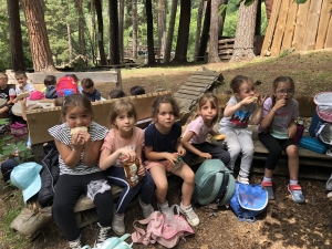 Monistrol-sur-Loire : accrobranche pour les grandes sections de l’école Albert-Jacquard