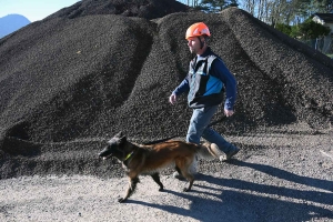 Yssingeaux : le flair des chiens à l&#039;épreuve des décombres