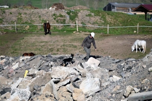 Yssingeaux : le flair des chiens à l&#039;épreuve des décombres