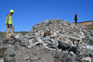 Yssingeaux : le flair des chiens à l&#039;épreuve des décombres