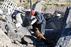 Yssingeaux : le flair des chiens à l&#039;épreuve des décombres