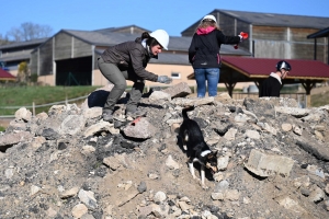 Yssingeaux : le flair des chiens à l&#039;épreuve des décombres