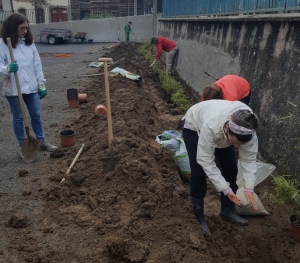 Yssingeaux : 50 plants de bambous plantés dans la cour de l&#039;école Saint-Gabriel