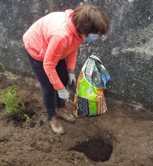 Yssingeaux : 50 plants de bambous plantés dans la cour de l&#039;école Saint-Gabriel