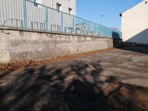 Yssingeaux : 50 plants de bambous plantés dans la cour de l&#039;école Saint-Gabriel