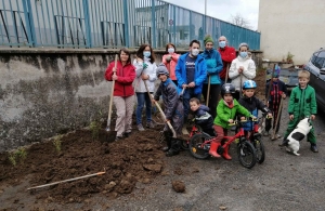 Yssingeaux : 50 plants de bambous plantés dans la cour de l&#039;école Saint-Gabriel