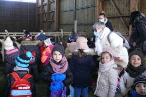 L’école à la ferme pour les maternelles de Grazac