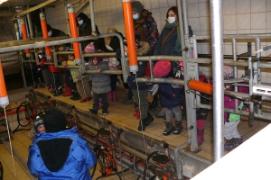 L’école à la ferme pour les maternelles de Grazac