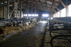 L’école à la ferme pour les maternelles de Grazac