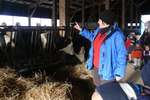 L’école à la ferme pour les maternelles de Grazac