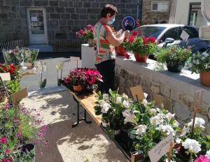 Saint-Pal-de-Mons : un nouveau baby-foot pour les « SympasLoupiots » grâce à la vente de fleurs