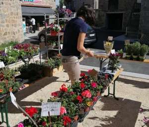 Saint-Pal-de-Mons : un nouveau baby-foot pour les « SympasLoupiots » grâce à la vente de fleurs