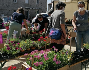 Saint-Pal-de-Mons : un nouveau baby-foot pour les « SympasLoupiots » grâce à la vente de fleurs