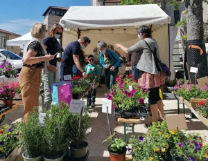 Saint-Pal-de-Mons : un nouveau baby-foot pour les « SympasLoupiots » grâce à la vente de fleurs