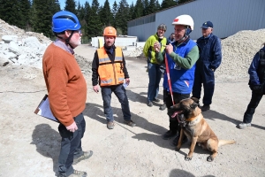 Yssingeaux : en sauvetage et décombres, les chiens mis à rude épreuve