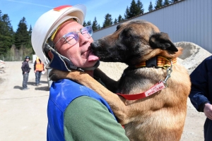 Yssingeaux : en sauvetage et décombres, les chiens mis à rude épreuve