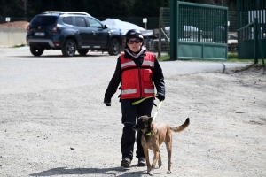 Yssingeaux : en sauvetage et décombres, les chiens mis à rude épreuve