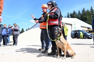 Yssingeaux : en sauvetage et décombres, les chiens mis à rude épreuve