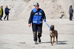 Yssingeaux : en sauvetage et décombres, les chiens mis à rude épreuve