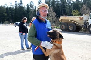 Yssingeaux : en sauvetage et décombres, les chiens mis à rude épreuve