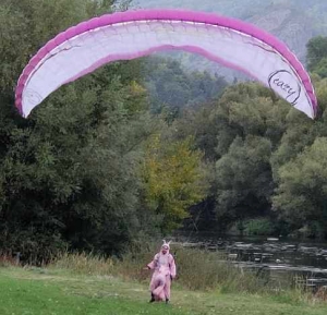 A Retournac, les hommes-oiseaux ont visé juste en parapente