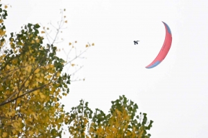 A Retournac, les hommes-oiseaux ont visé juste en parapente