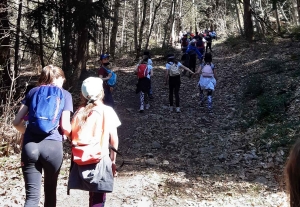 Yssingeaux : des écoliers de Saint-Gabriel randonnent dans la campagne yssingelaise