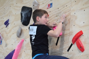 Escalade : la coupe Loire/Haute-Loire s&#039;est achevée au Puy-en-Velay