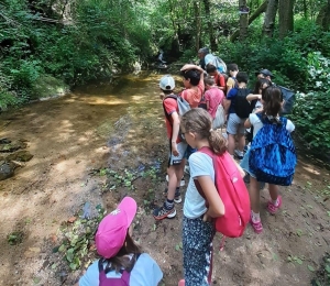 Monistrol-sur-Loire : une journée nature pour les CE2 de l&#039;école du &quot;Château&quot;