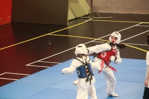 Taekwondo : Le Puy-en-Velay en déplacement à Nice